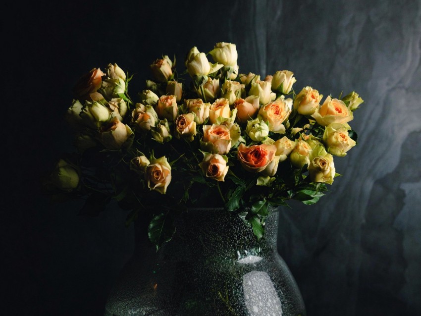 roses, flowers, bouquet, vase, dark