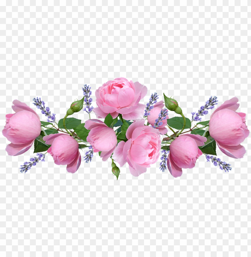 Roses Pink Flowers Lavender Arrangement Garden Roses Png Image With Transparent Background Toppng