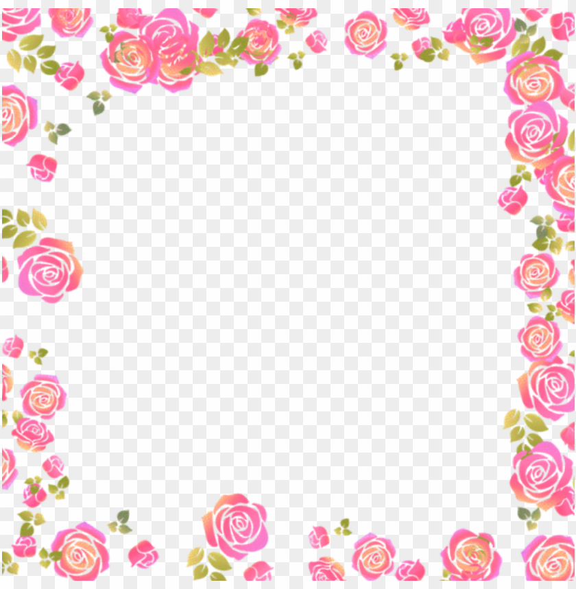 Roses Rose Border Flowers Flowers Pink - Picture Frame PNG Transparent With Clear Background ID 179156