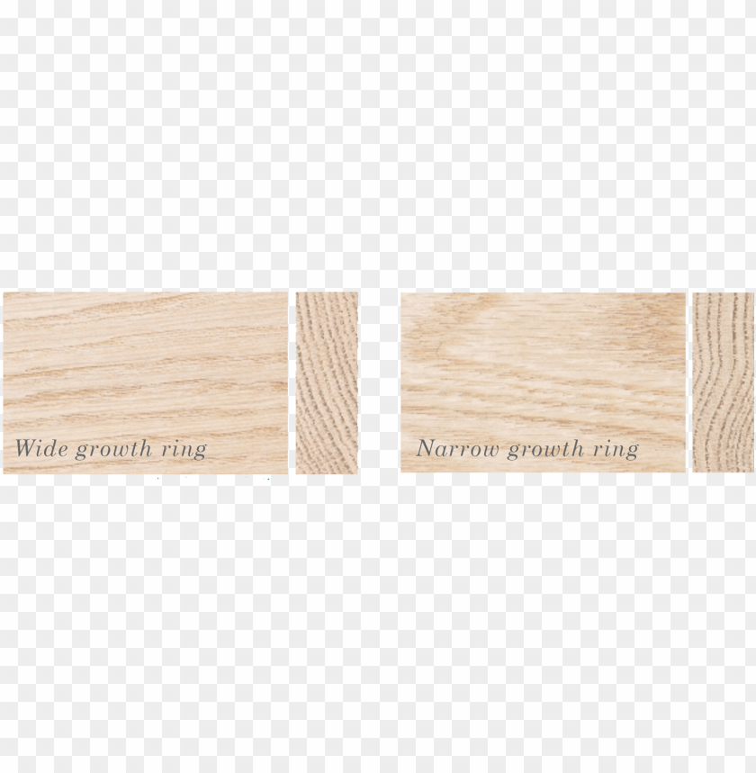 growth, background, tree rings, plank, plant, panel, wood