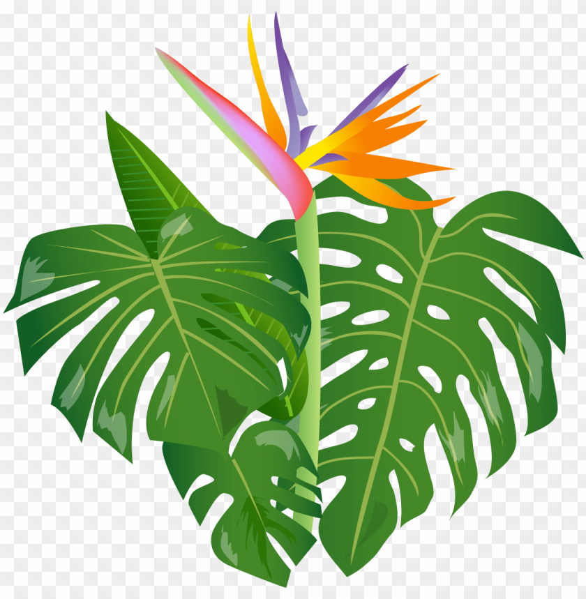 royalty free download shrub free on dumielauxepices - jungle leaves cartoon  PNG image with transparent background | TOPpng