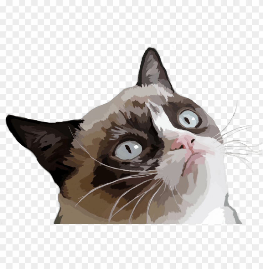 free PNG rumpy cat vector illustration - grumpy cat evil cat meme PNG image with transparent background PNG images transparent