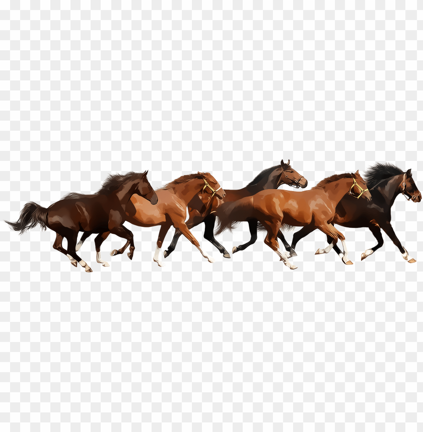 run, horse head, running silhouette, animal, silhouette, unicorn, sport