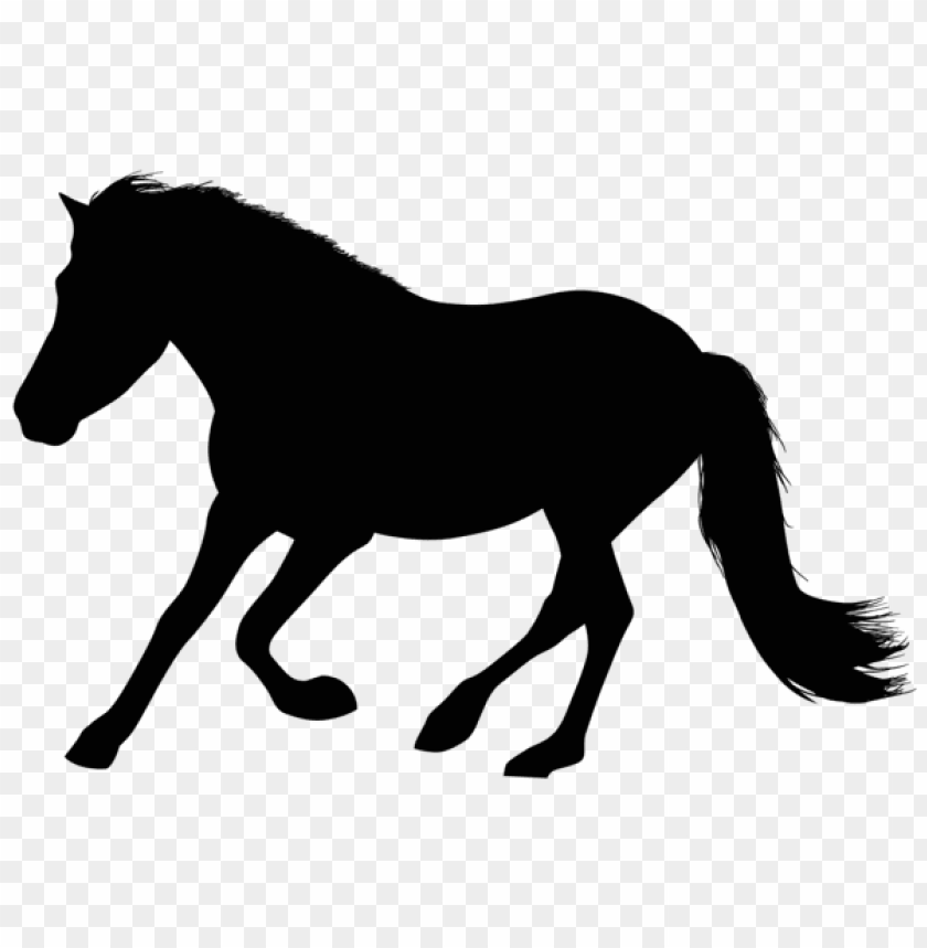 Free Free Running Horse Svg Free SVG PNG EPS DXF File