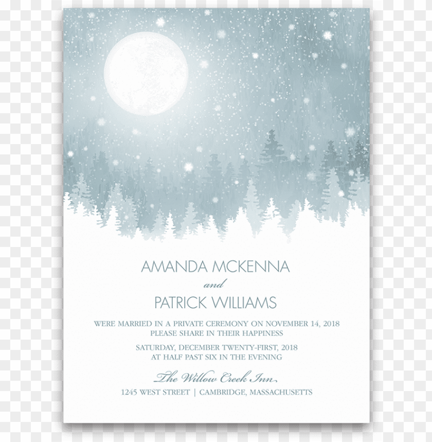 rustic snowflake winter wedding reception only invite - save the date PNG image with transparent background@toppng.com
