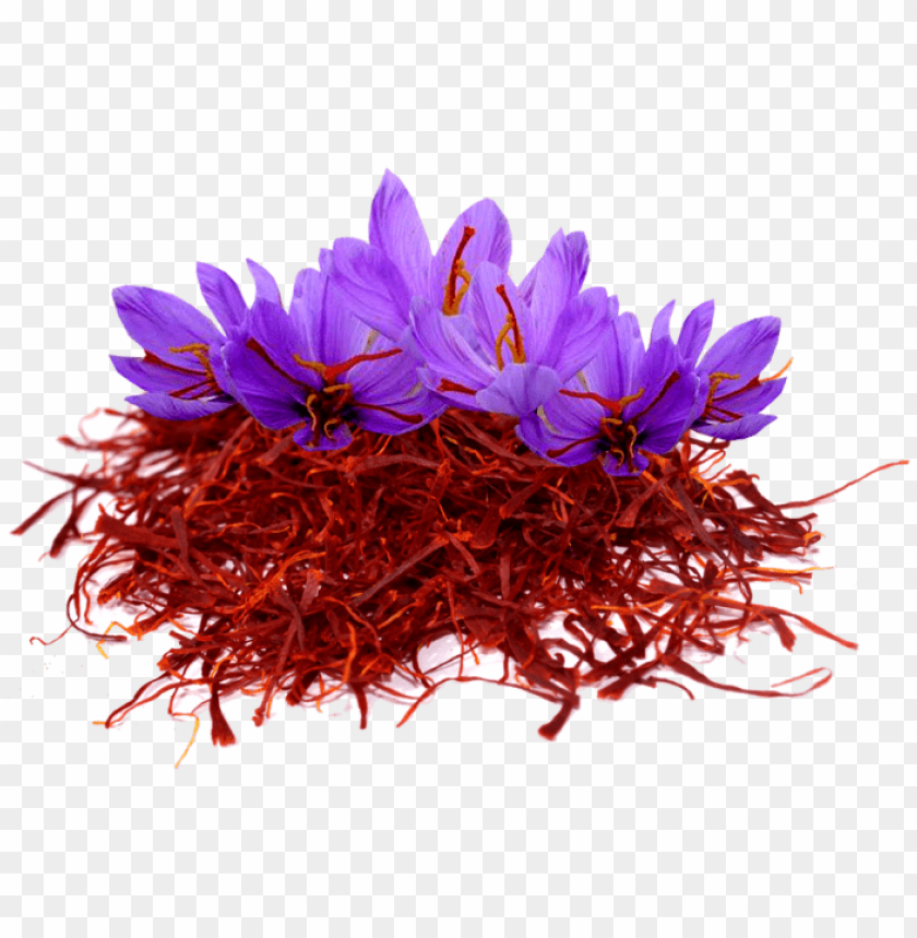 saffron png, download saffron png, زعفران png, صور saffron