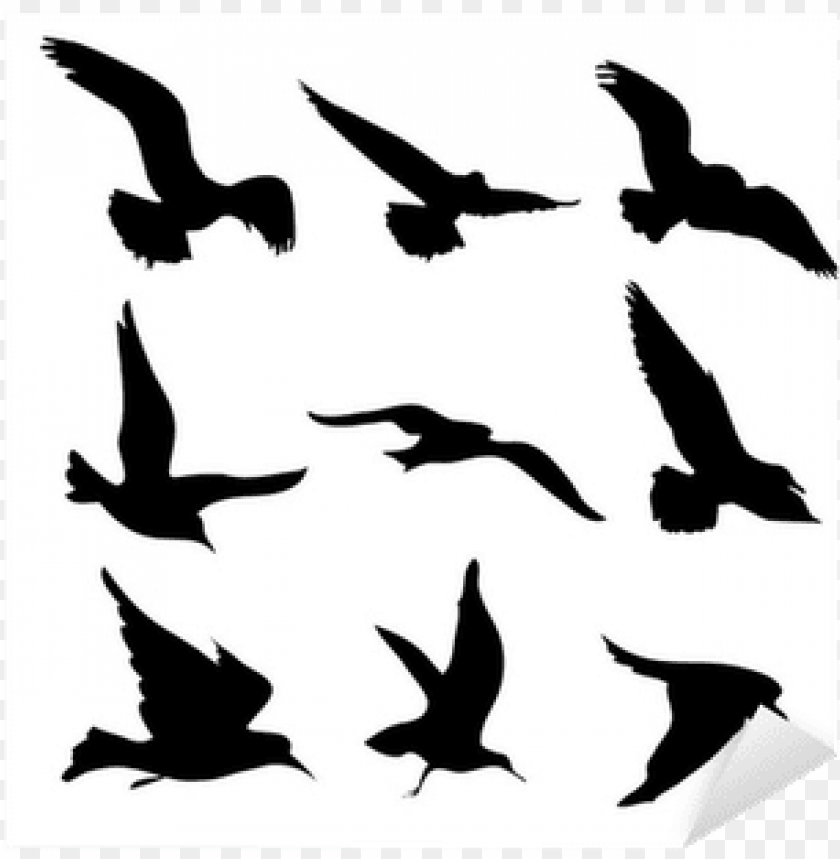 birds flying, superman flying, sticker, tree illustration, flying cat, i voted sticker