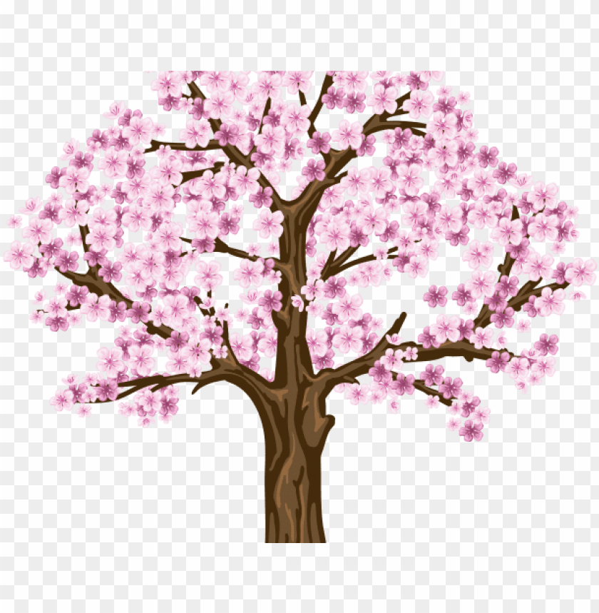Sakura Clipart Dogwood Tree Cherry Blossom Tree Png Hd Png Image With Transparent Background Toppng
