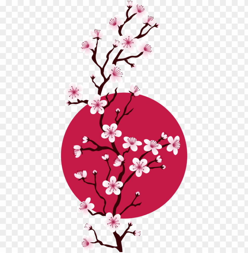 cherry blossom flower png