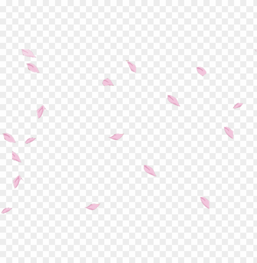 Sakura Petals Flower Floral Falling Floating Pink Sakura Petals PNG Image With Transparent Background