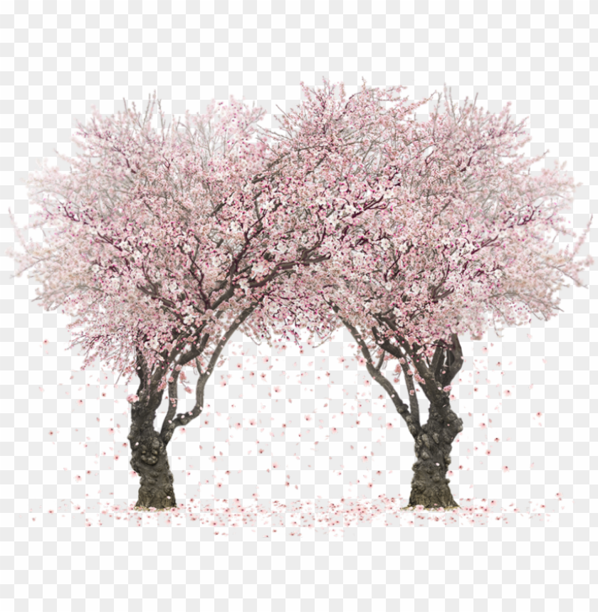 painting of a cherry blossom tree with a full moon in the background.  generative ai. 23113742 Stock Photo at Vecteezy