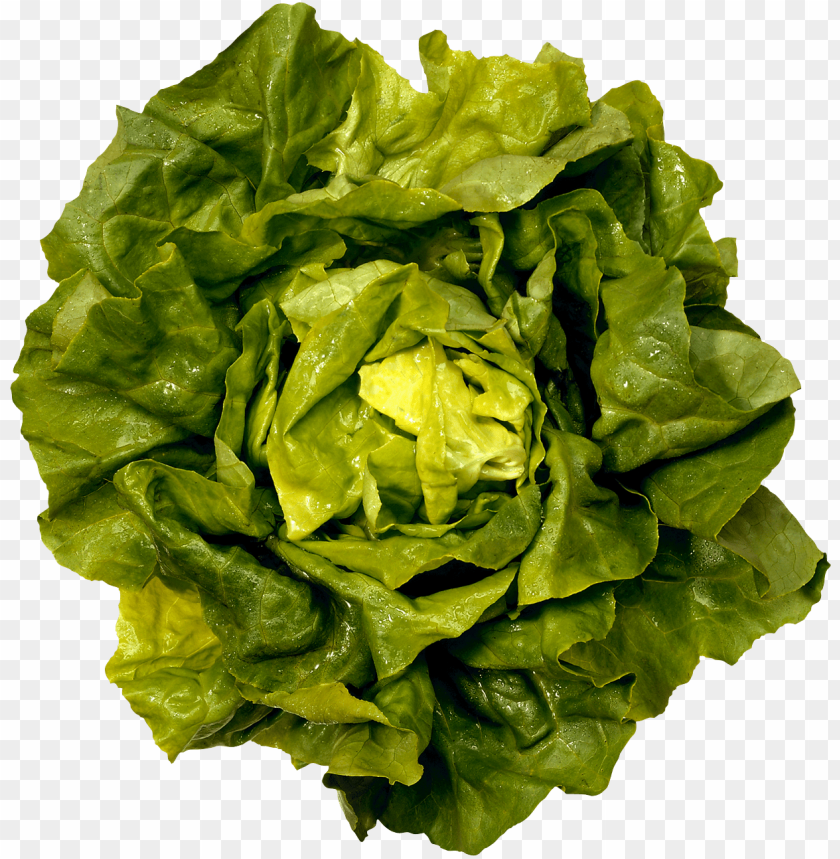 
salad
, 
leafy vegetables
, 
lettuce varieties
, 
spinach
, 
rocket
, 
tossed salad
