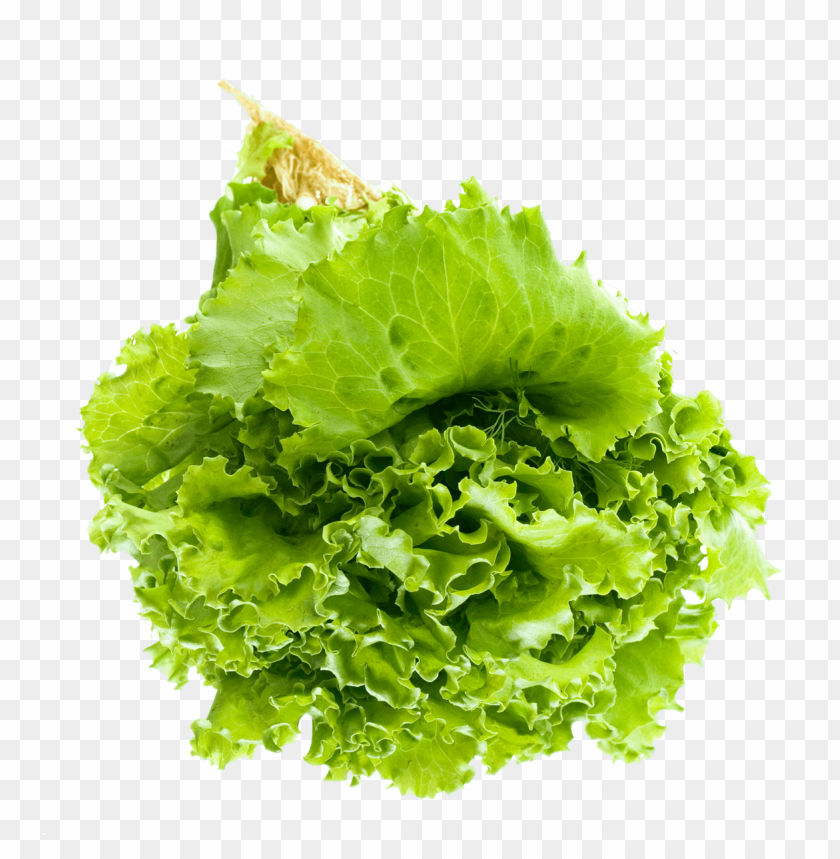 vegetables, salad, salad leaf, leaf, lettuce,salat,خضار 