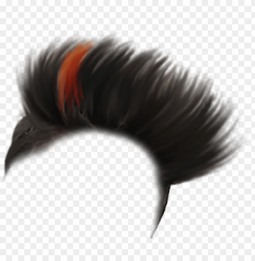  Ample Hair For Boy 23 Cb Hair  Tyle Png - Png Hair  Tyle Download PNG Image With Transparent Background