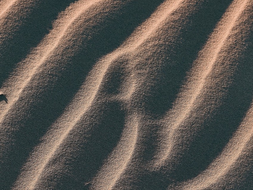 sand, dunes, desert, relief