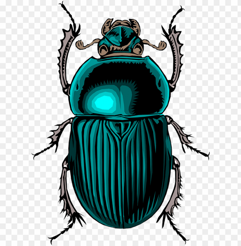 free PNG scarab beetle tattoo - egyptian bu PNG image with transparent background PNG images transparent