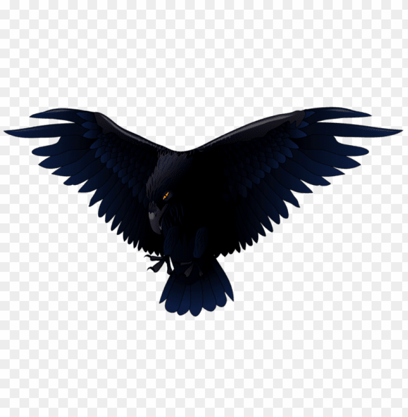 scary raven png vector png images background -  image ID is 54554