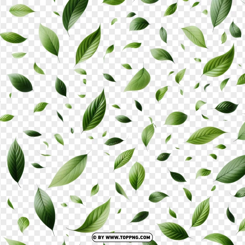 Scattered Green Leaves - Perfect For Organic And Eco-friendly Designs PNG Transparent Background