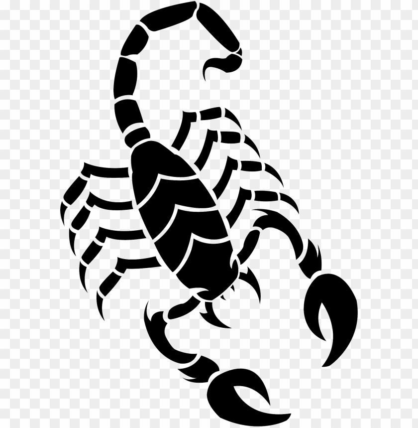 Download Scorpion Clipart Png Photo | TOPpng
