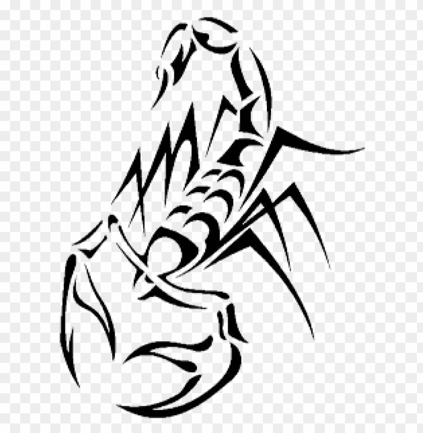 Scorpion Tattoo PNG Image With Transparent Background | TOPpng