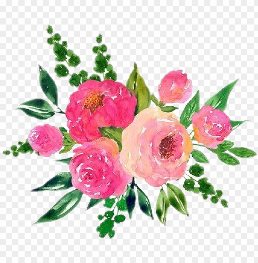 scrose roses rose aesthetic cute flower watercolor cute flower aesthetic transparent PNG transparent with Clear Background ID 174858