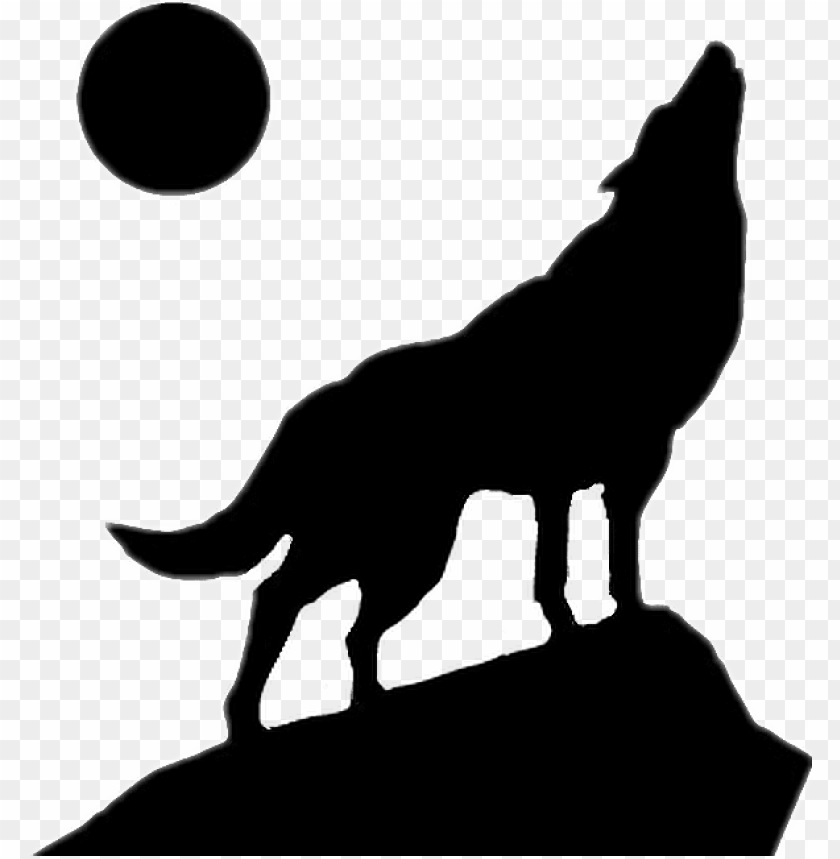 illustration, wolf, sun, howl, fox, owl, full moon