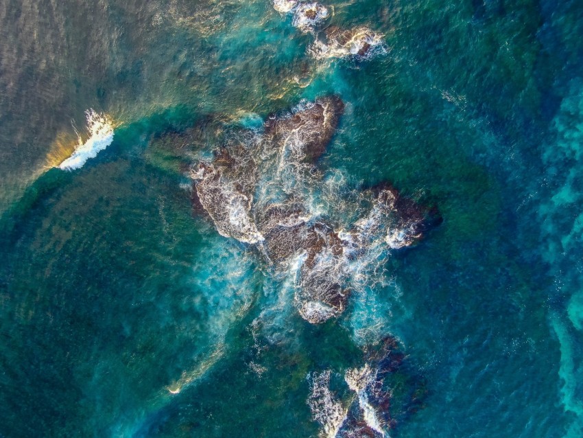sea, reef, aerial view, waves, water