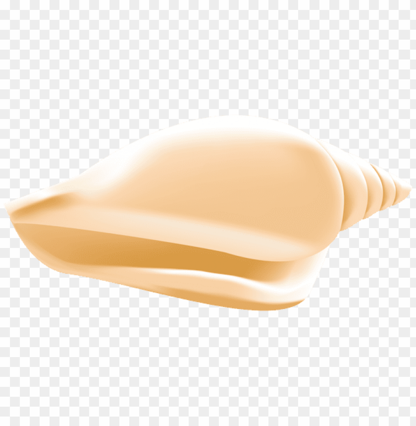 sea shell transparent clipart png photo - 56431