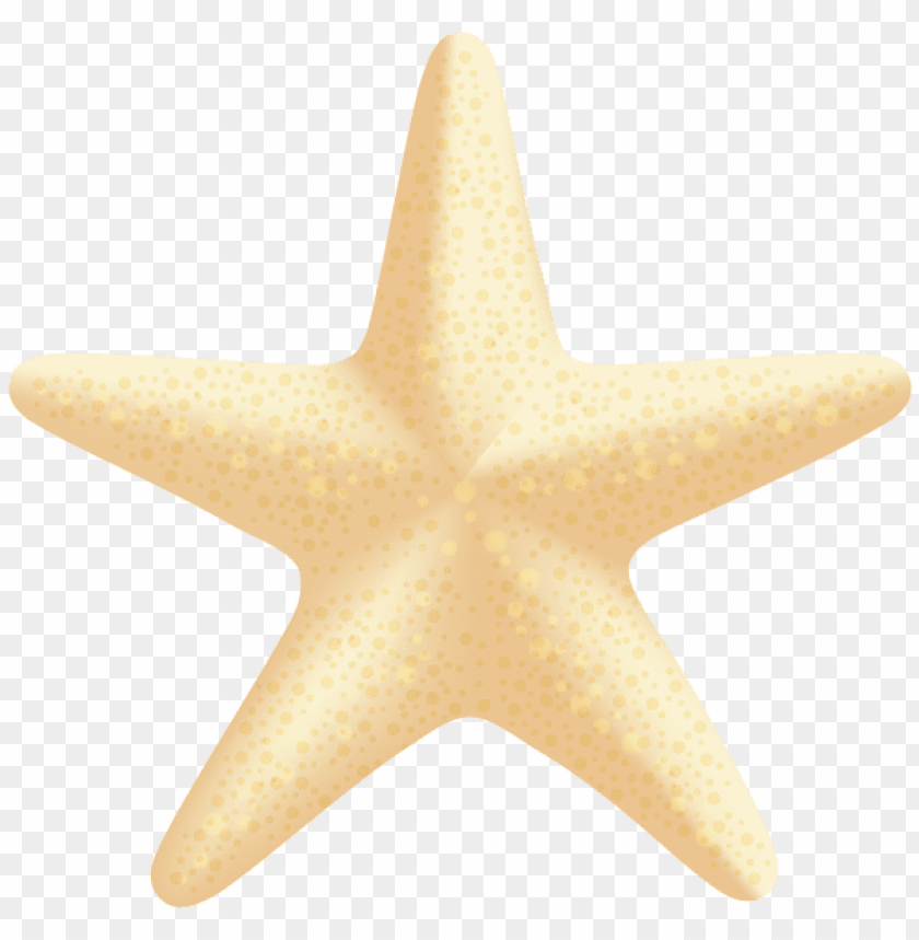 sea star clipart png photo - 56362