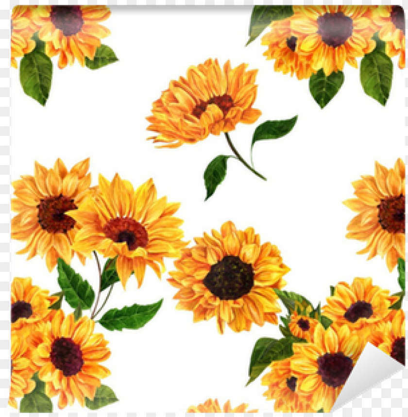 Seamless Pattern With Hand Drawn Watercolor Sunflowers