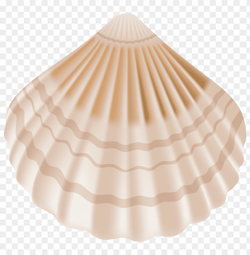 seashell clipart png photo - 31790