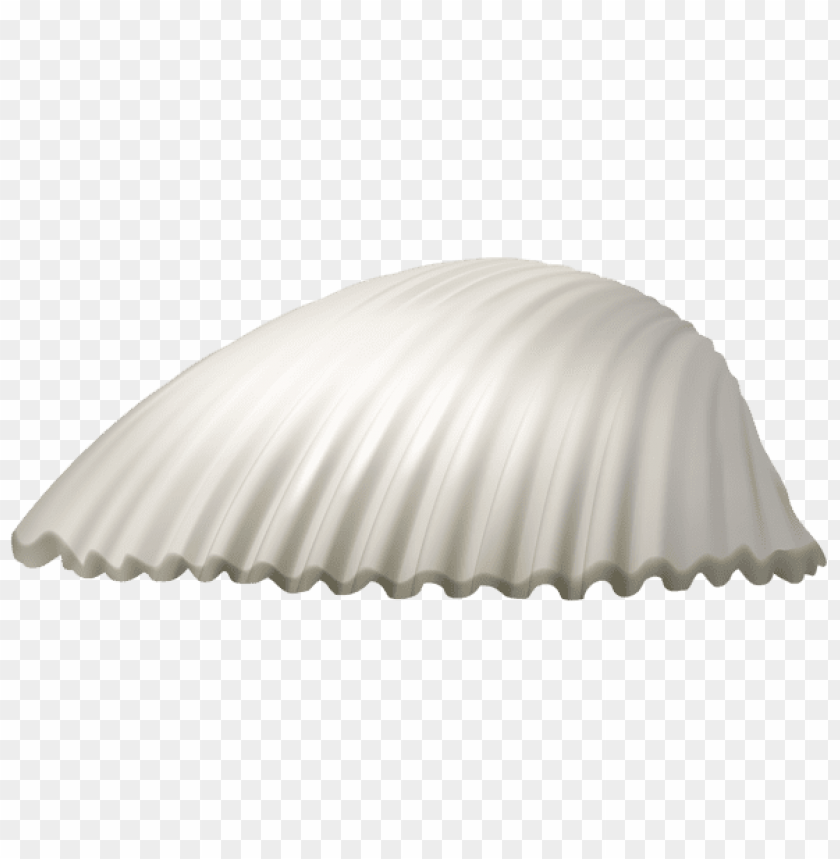 seashell clipart png photo - 56314