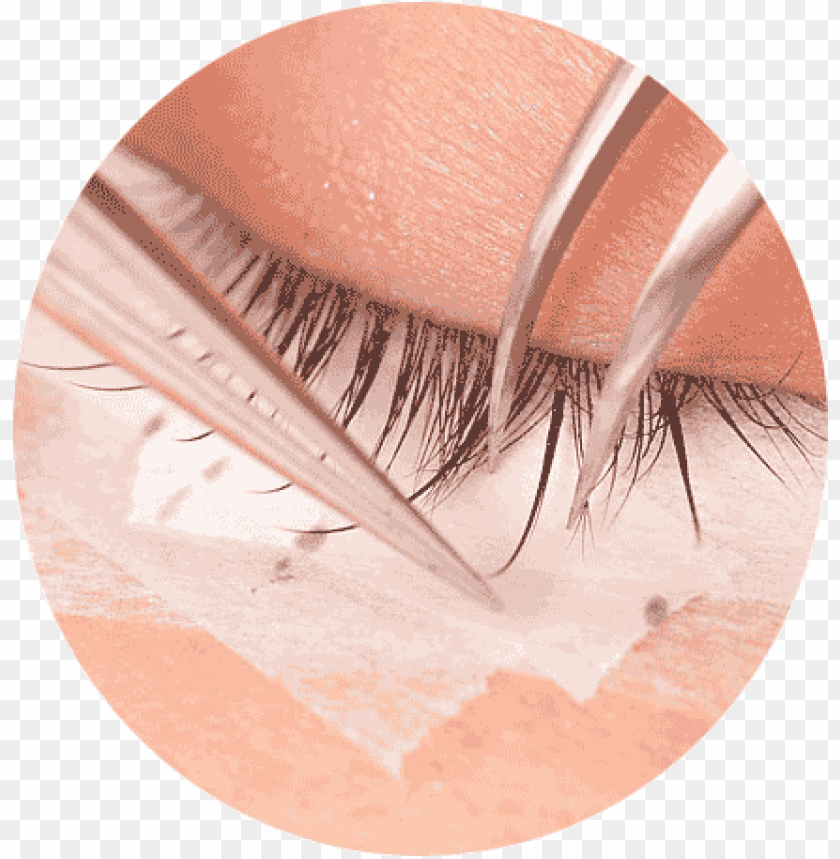 Semi Permanent Eye Lash PNG Transparent With Clear Background ID 269922