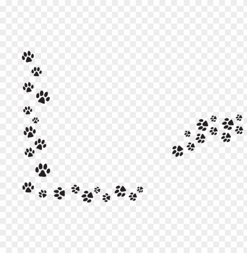 The Paw print 8473749 PNG
