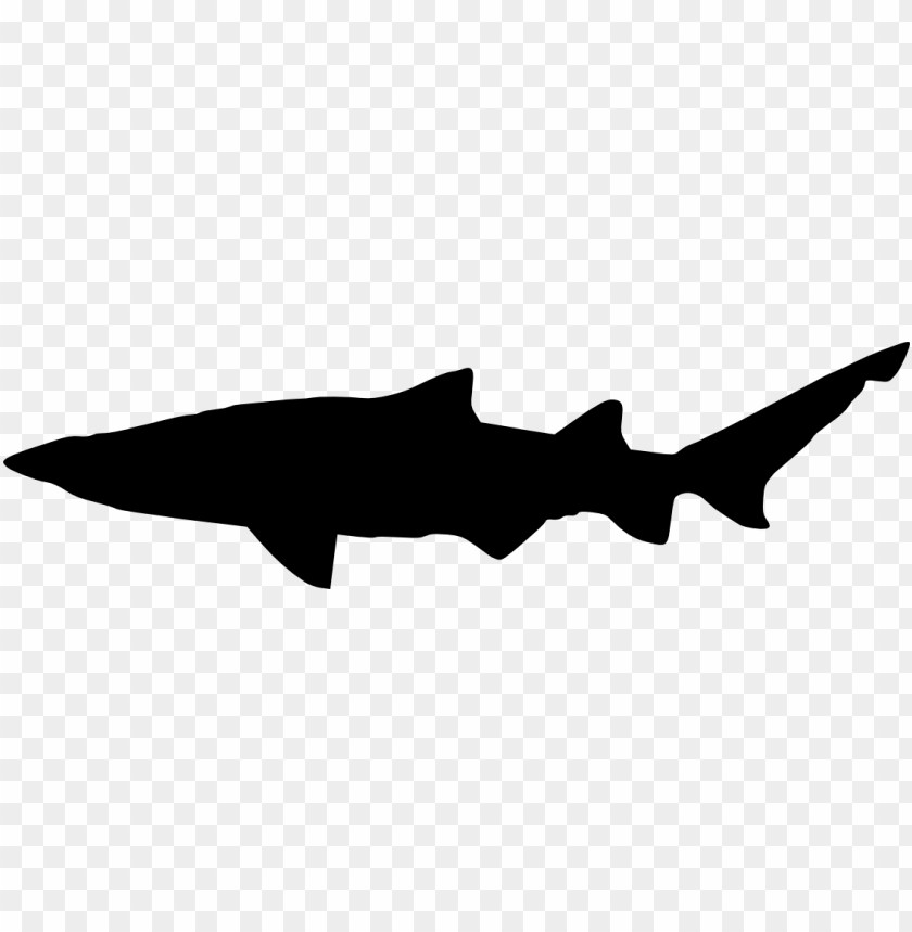 great white shark silhouette png