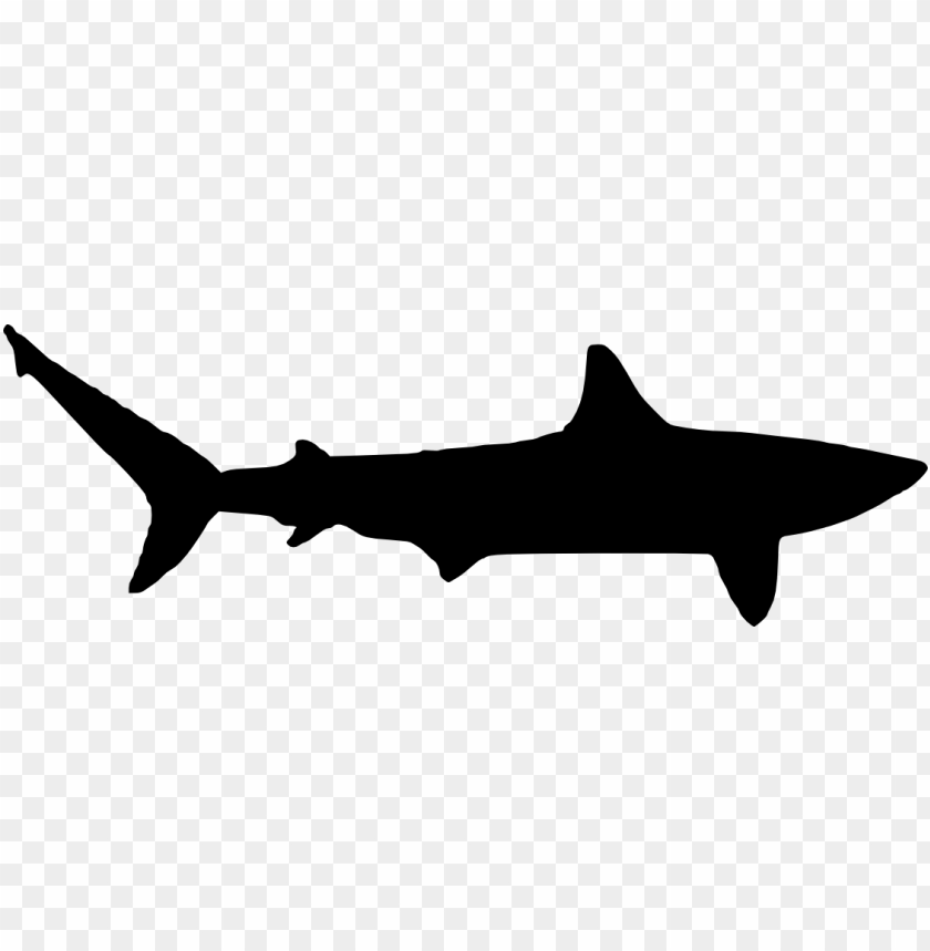 great white shark silhouette png