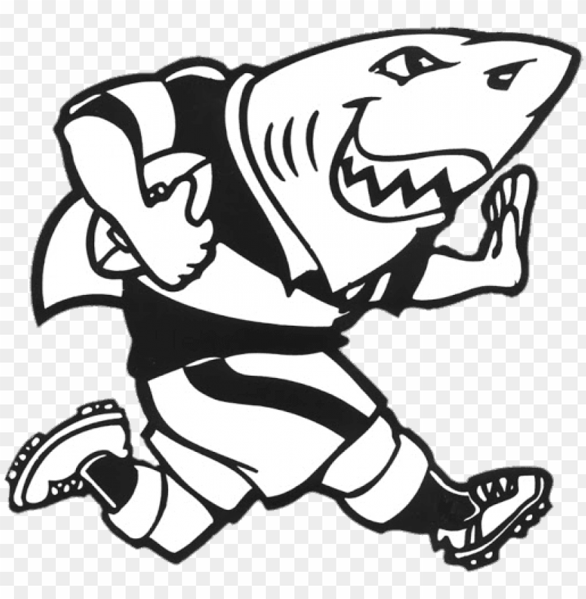 sports, rugby teams south africa, sharks rugby mascotte, 