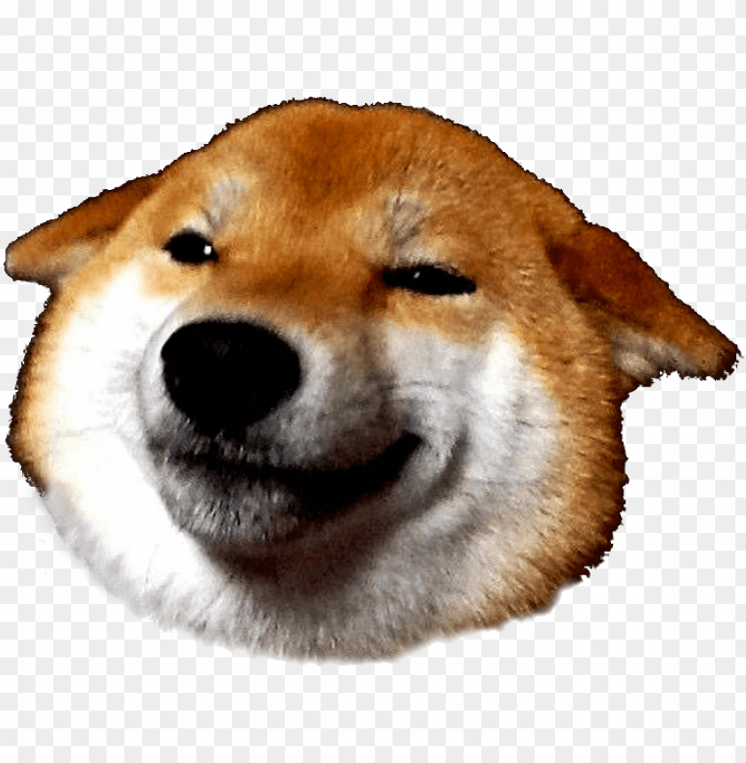 Shiba Inu Face Png Image With Transparent Background Toppng - shiba inu invisible background roblox