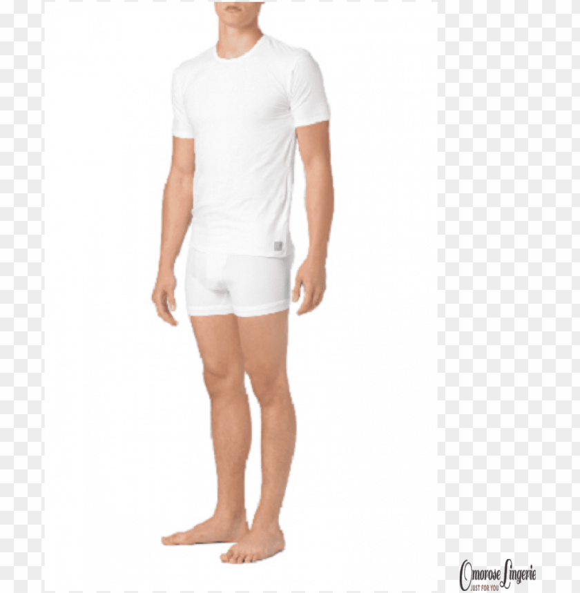 calvin klein logo, white t-shirt, t-shirt template, t shirt, t shirt design, blank t shirt
