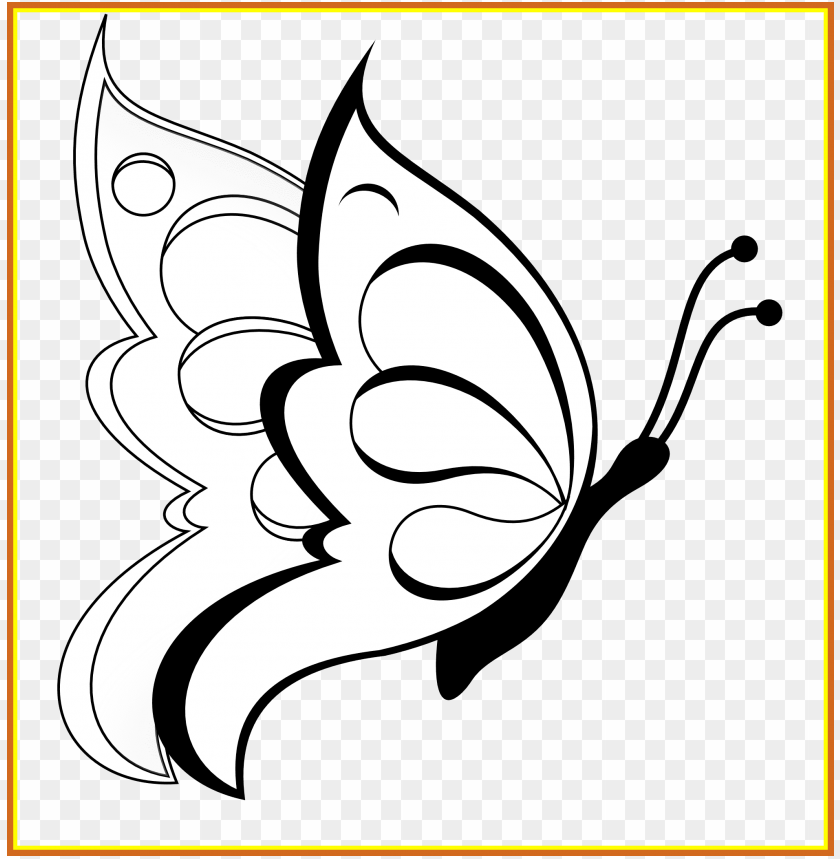 shocking butterfly clipart black white line art coloring easy pencil drawings butterflies PNG transparent with Clear Background ID 217348