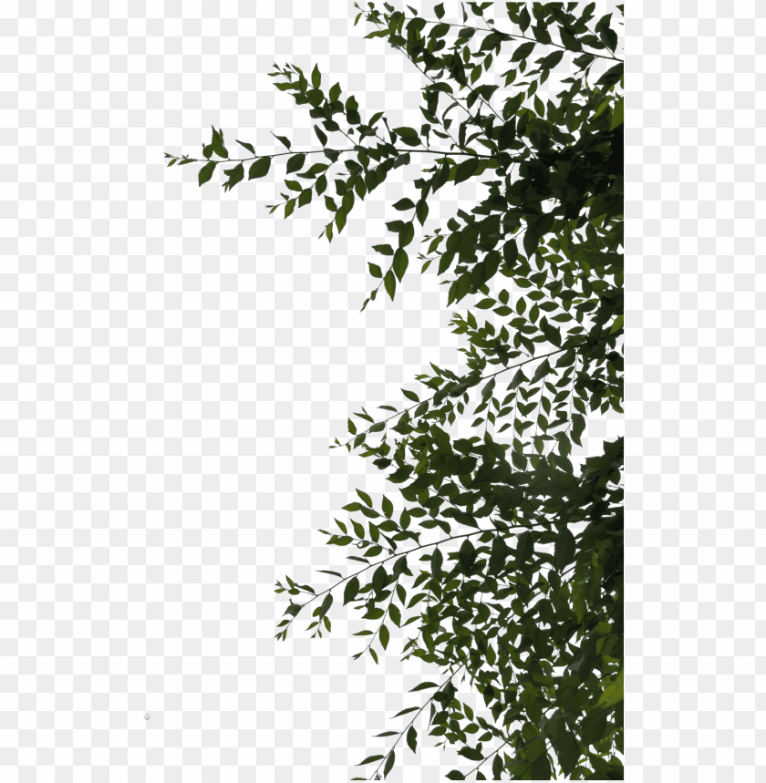 sidebar or overhang leaves png by evelivesey leaves png deviantart PNG transparent with Clear Background ID 201781