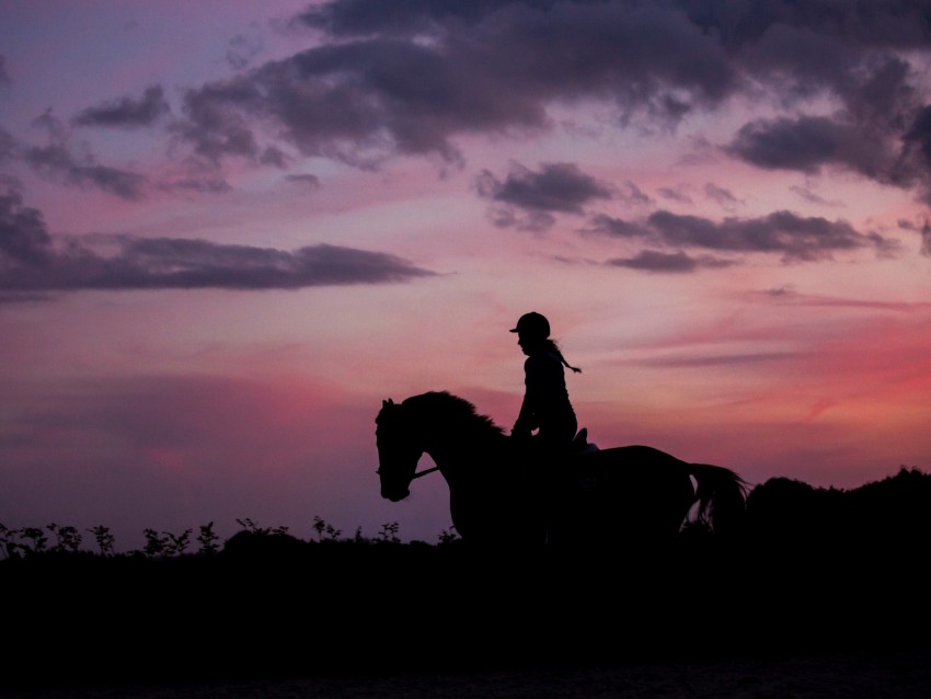 silhouette, dark, jockey, horse, twilight, equestrian, riding