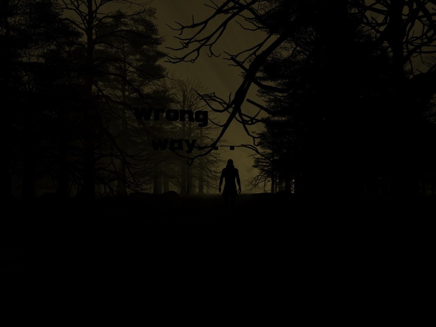 silhouette, dark, night, forest, trees