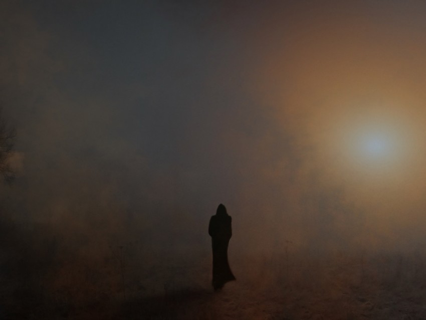 silhouette, fog, mantle, wanderer, gloomy