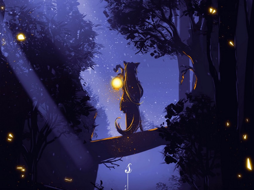 silhouette, forest, lantern, fog, loneliness