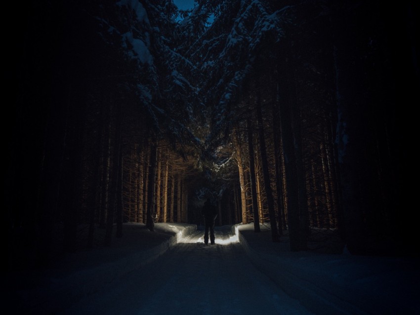 silhouette, forest, road, snow, trees