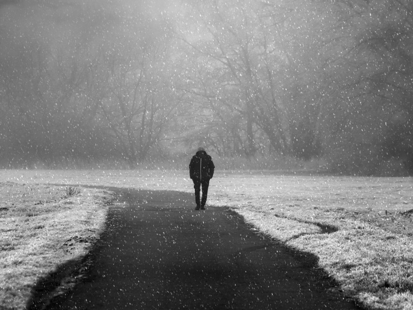 silhouette, lonely, snowfall, fog, winter, snow