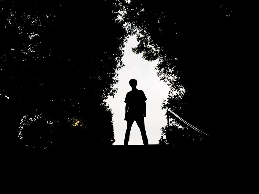 silhouette, man, dark, trees