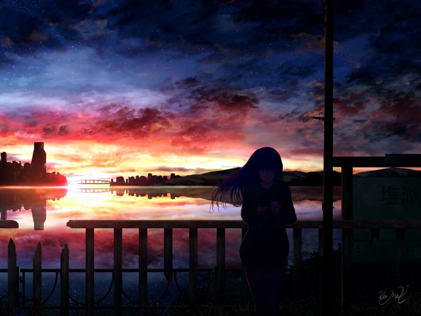 silhouette, night, starry sky, girl, anime
