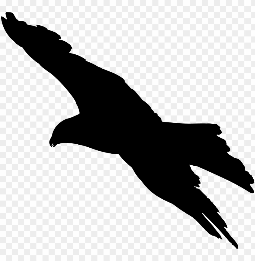 birds flying away silhouette